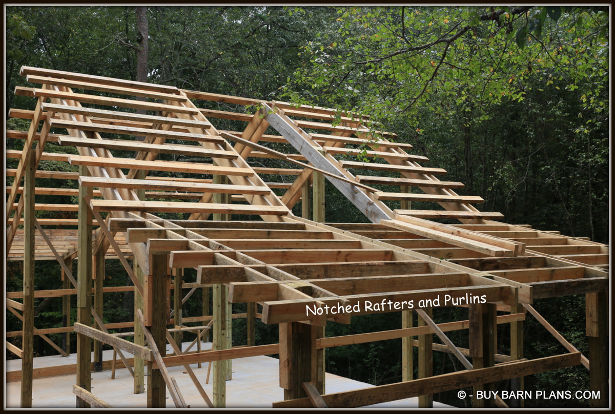 Framing Storage Workshop Barn - 4 x 6 Purlins Over 12 Inch Rafter Beams -