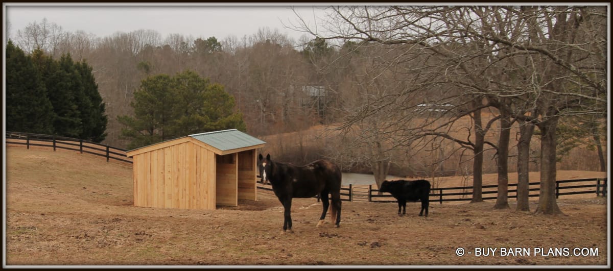 Image - Let It Rain - Let It Snow - Let The Wind Blow - I Got a Home Run - In Shed