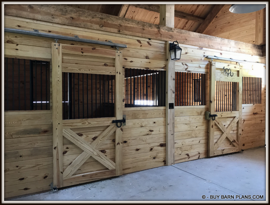 The Bars On The Doors Are Lower For Goat Viewing