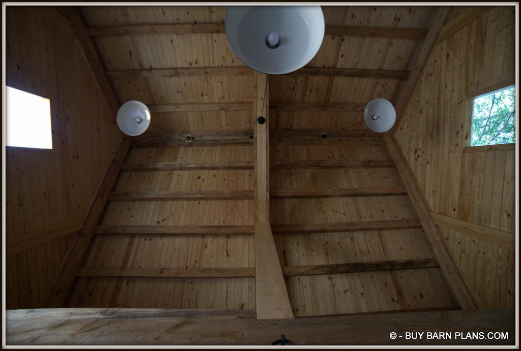 Interior Photo Image 2 Stall Miniture Horse Or Goats Barn With T&G Wall & Ceiling Finish - Hanging Farm Lights -