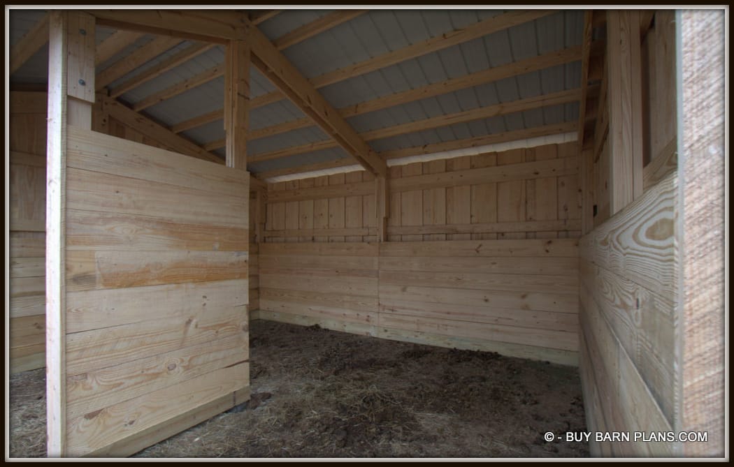Kick Proof Interior Walls -With Kick Proof Divider Wall